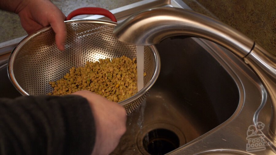 Brown lentils are washed under faucet in colander in sink and checked for debris like rocks.